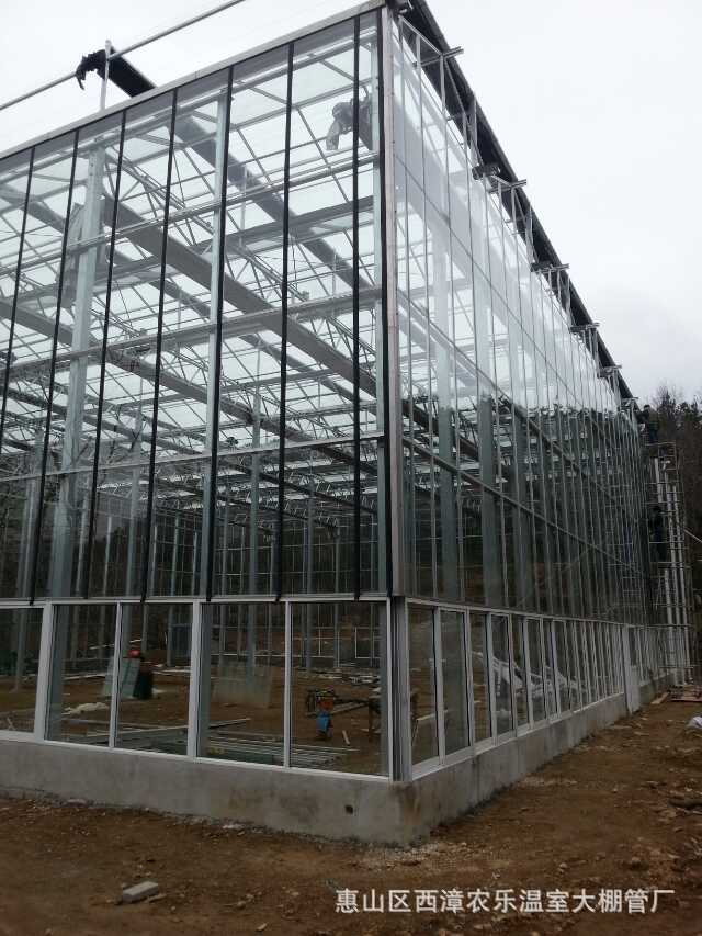 温室大棚 玻璃大棚 智能玻璃温室 智能温室温室大棚 钢化玻璃大棚示例图10