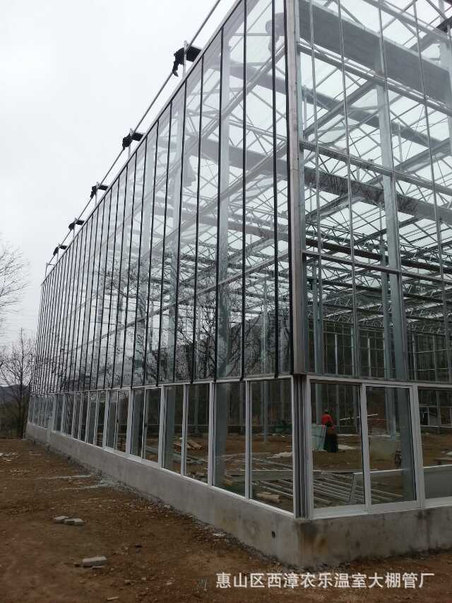温室大棚 玻璃大棚 智能玻璃温室 智能温室温室大棚 钢化玻璃大棚示例图6