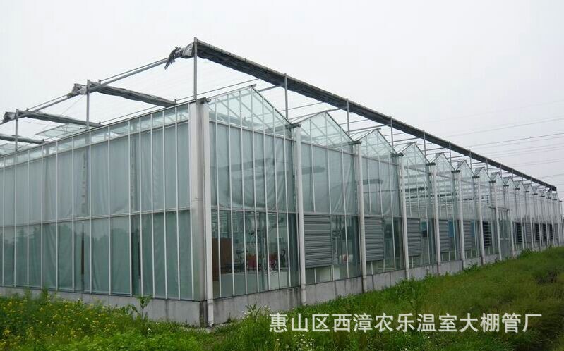 温室大棚 玻璃大棚 智能玻璃温室 智能温室温室大棚 钢化玻璃大棚示例图4