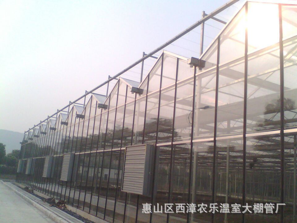 温室大棚 玻璃大棚 智能玻璃温室 智能温室温室大棚 钢化玻璃大棚示例图14