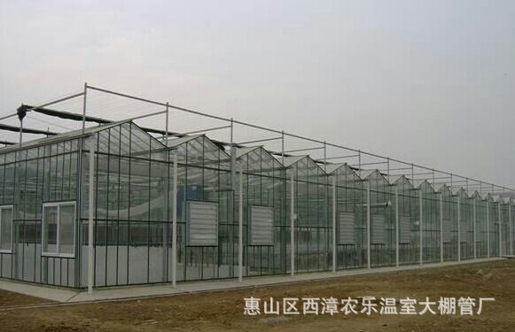 温室大棚 玻璃大棚 智能玻璃温室 智能温室温室大棚 钢化玻璃大棚示例图3