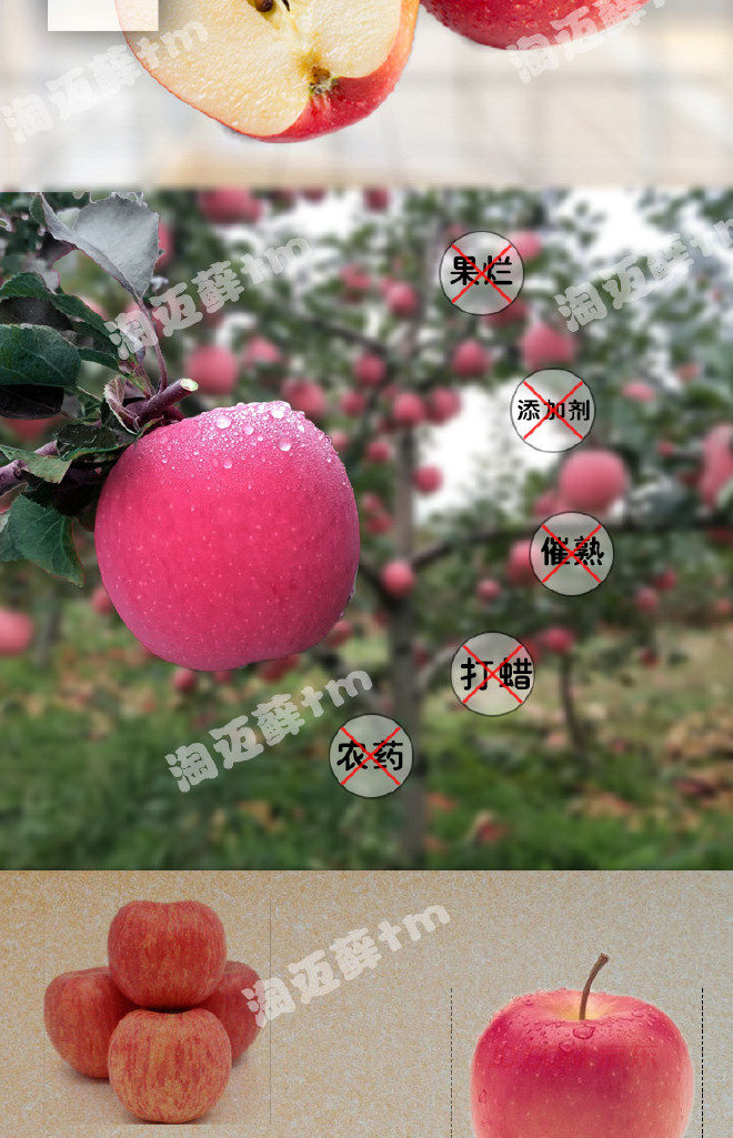富士苹果_05