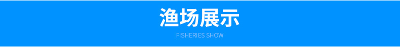 活体热带淡水观赏鱼红尾帝王兰灯 出售小型活体鱼红尾帝王兰灯示例图11