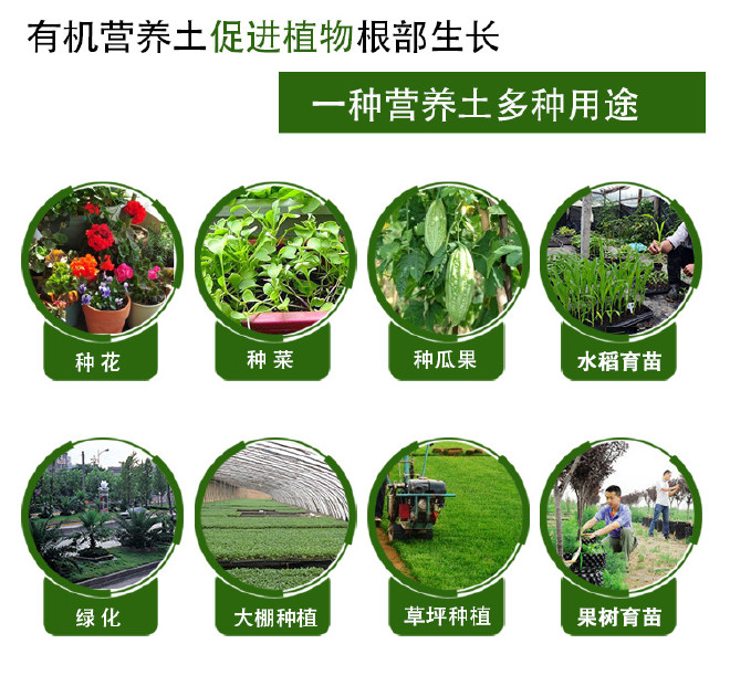 潘氏营养土20L/袋大包装泥炭土 通用型有机植物种植土 植物营养示例图6