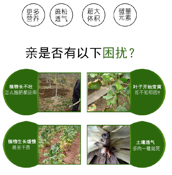 潘氏营养土20L/袋大包装泥炭土 通用型有机植物种植土 植物营养示例图3