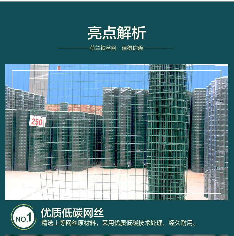 广州现货供应2m*30m包塑铁丝荷兰网 玉米圈网片道路隔离网片示例图3