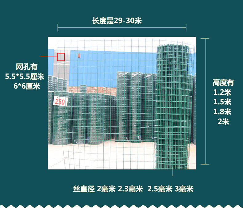 广州现货供应2m*30m包塑铁丝荷兰网 玉米圈网片道路隔离网片示例图6