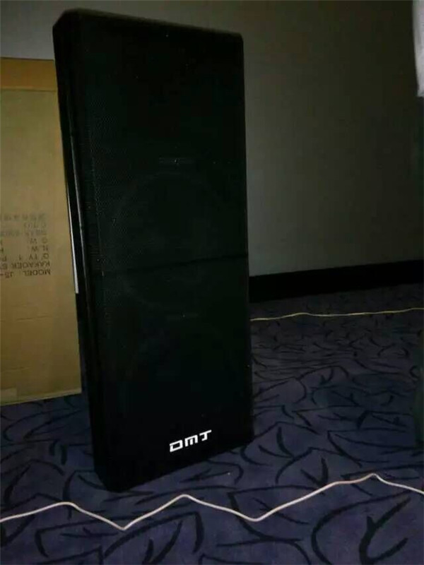 DMJ品牌舞台音箱 演出音箱 婚庆音箱JS-825 专业音响3