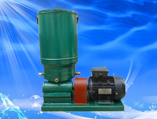 多点润滑泵 电动润滑泵 华懋GDB润滑设备 黄油泵 手动泵 干油泵3
