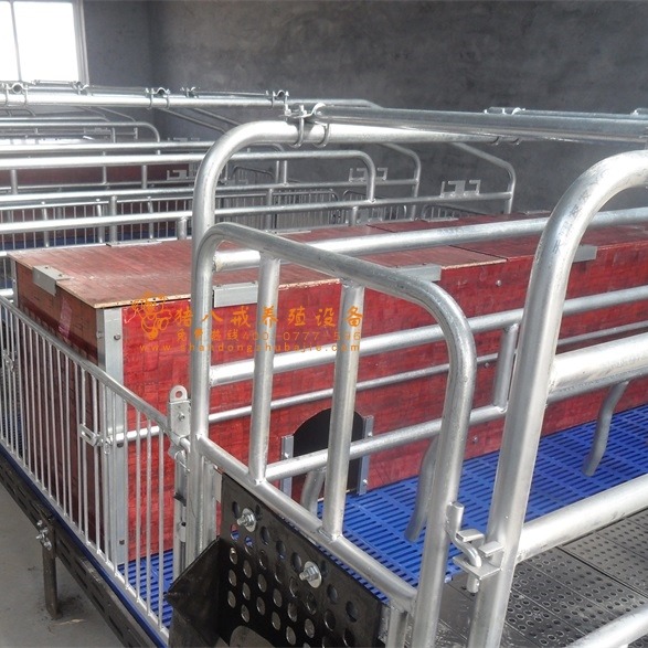 国标热镀锌管猪用产床 畜牧、养殖业机械 双体母猪产床8