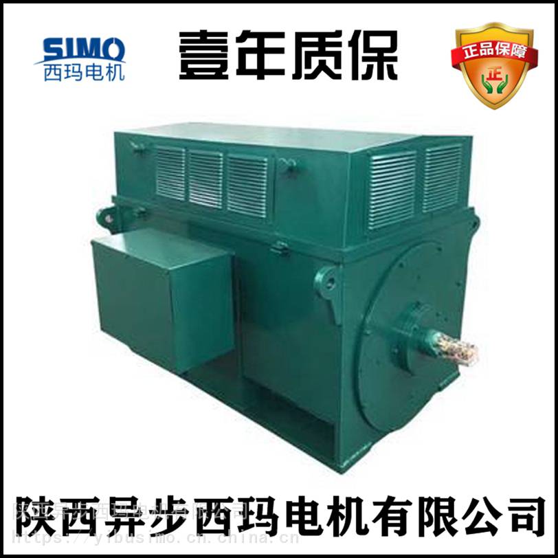 10KV北京高压电机壹年质保 220KW 威海泰富西玛电机厂Y500-8C1
