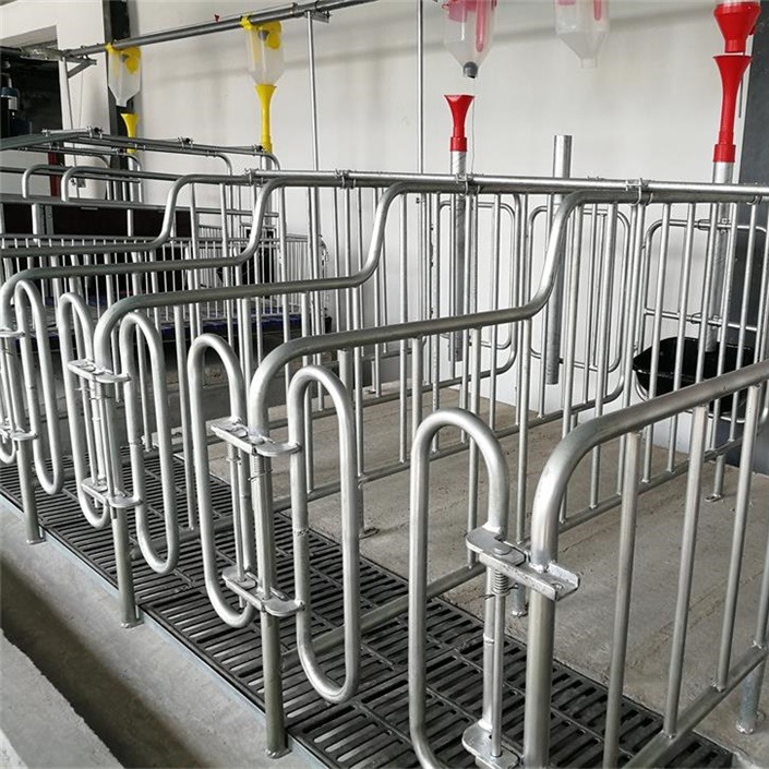 畜牧、养殖业机械 整体热镀锌定位栏 母猪限位栏 定位栏体3