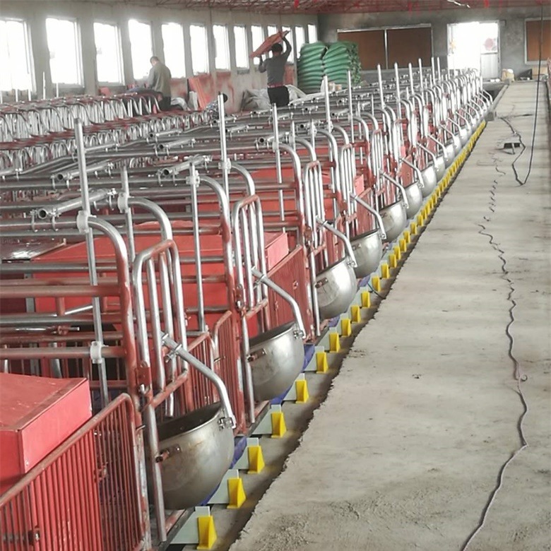 国标热镀锌管猪用产床 畜牧、养殖业机械 双体母猪产床3