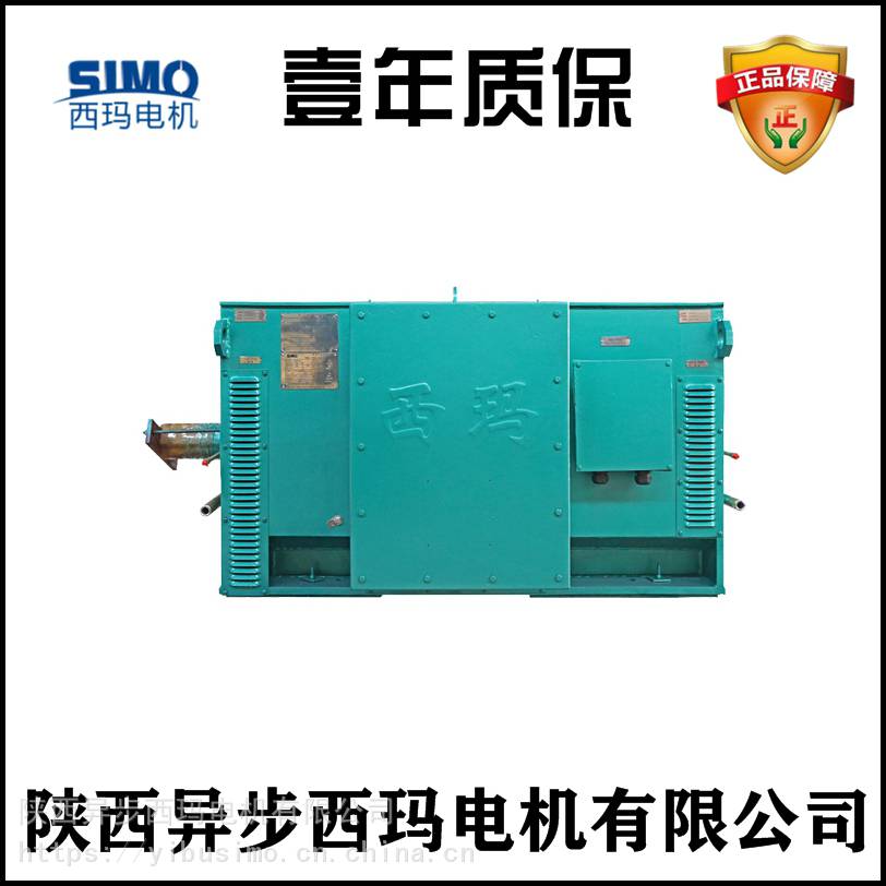 陕西西玛电机Y5004-4 10KV高压电机维修方案（配进口SKF轴承） 1000KW1