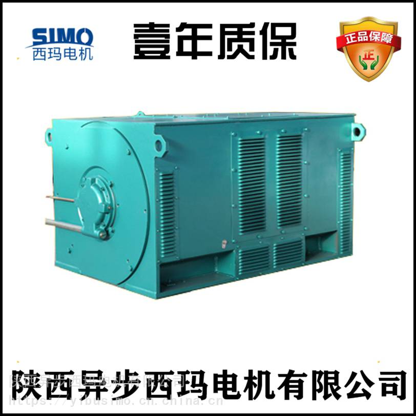 陕西西玛电机Y5004-4 10KV高压电机维修方案（配进口SKF轴承） 1000KW2