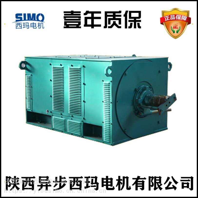 西安泰富西玛电机Y4501-2 10KV高压电机的启动质量三包 355KW