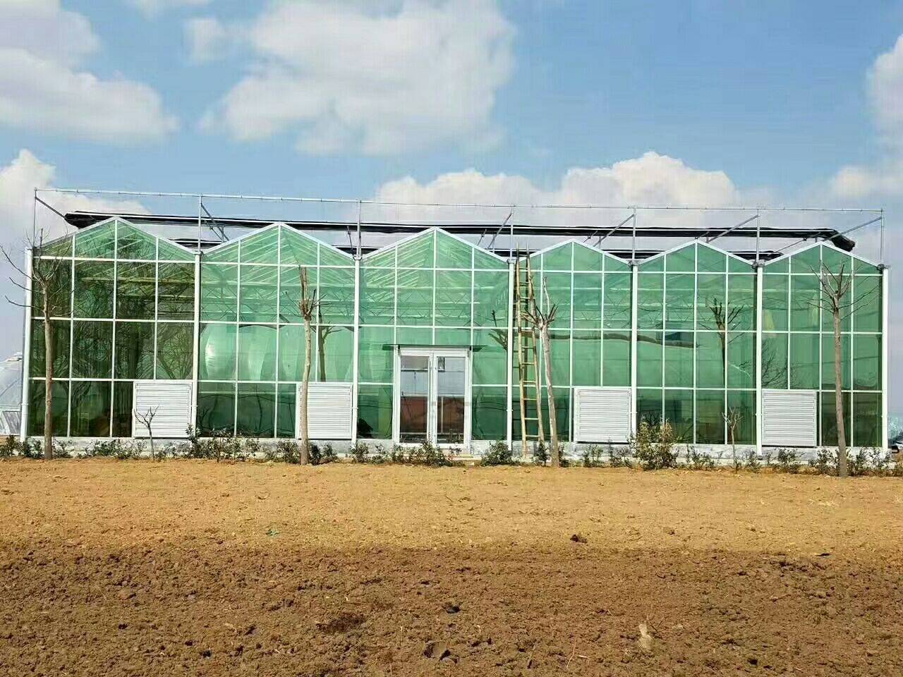 粒粒辛苦（山东）现代农业科技有限公司各种温室建造维护 温室、大棚3