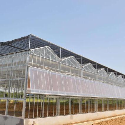 粒粒辛苦（山东）现代农业科技有限公司各种温室建造维护 温室、大棚6