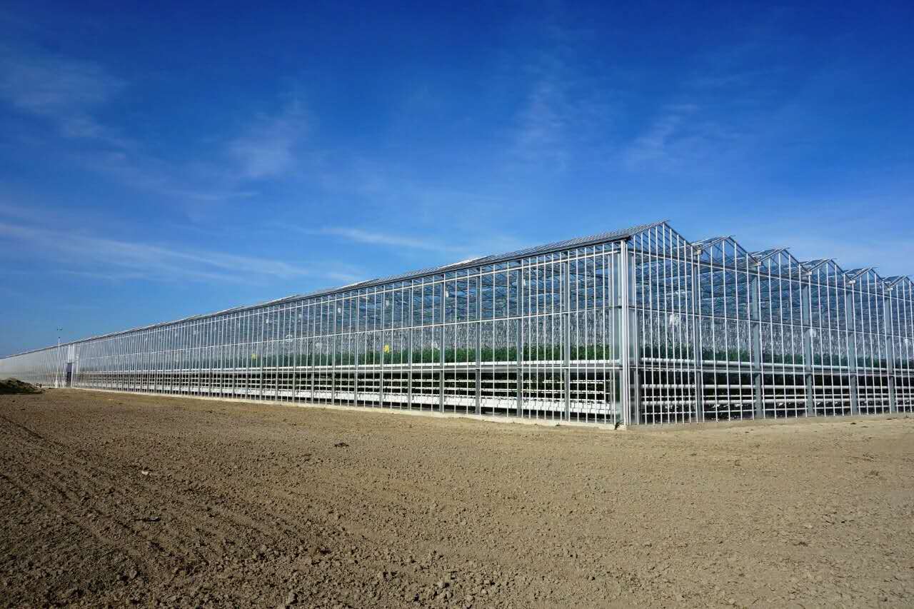 粒粒辛苦（山东）现代农业科技有限公司各种温室建造维护 温室、大棚5