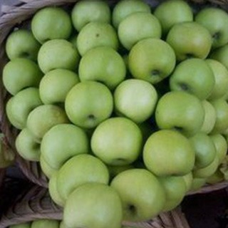 绍瑞口青香蕉苹果 苹果1