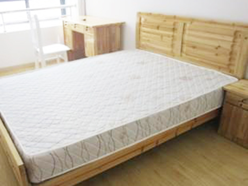 其他 大量供应出售实惠的出租房床垫出租房床垫供应厂家5