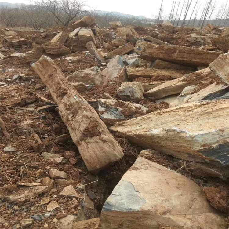 通貨批發 場地大量現貨黃色千層石 價格低 千層石礦山開采銷售