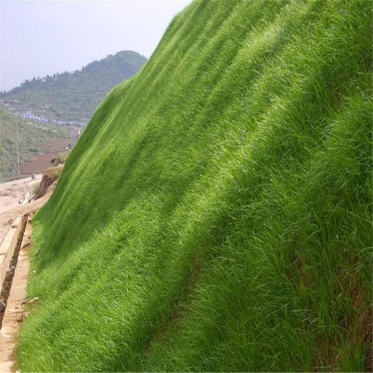 拓楠 景观工程项目 绿化挂网喷播 山体专项做业 荒山治理绿化