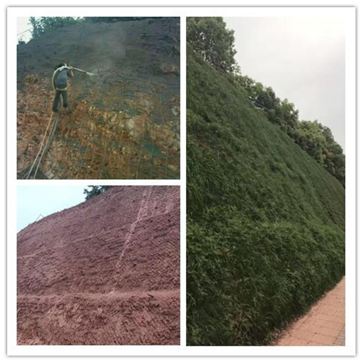 生态修复 景观工程项目 客土喷播植草 植被混凝土绿化 拓楠4