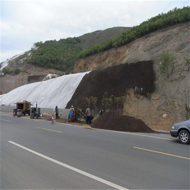 景观工程项目 锚杆施工 拓楠 裸岩植被恢复 带队施工4