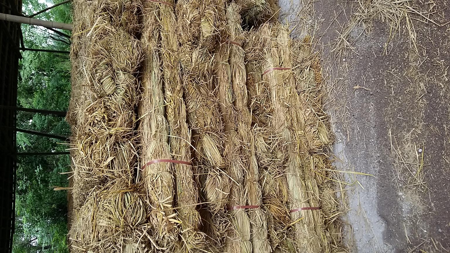 长期生产加工供应各种规格草绳 谷壳 稻草 1