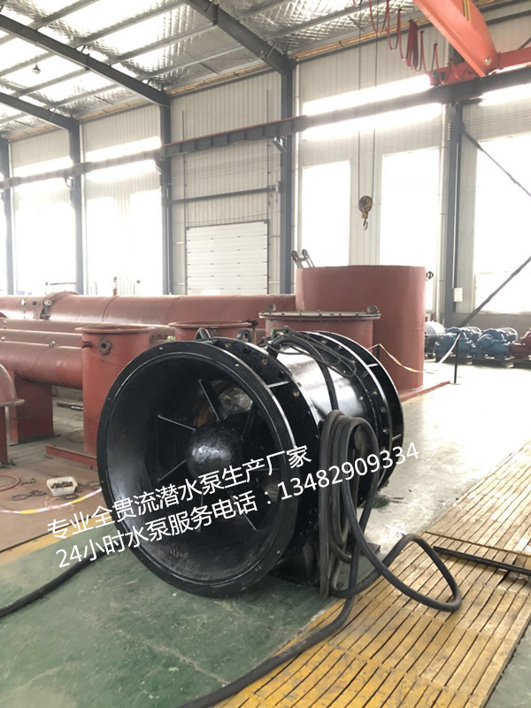 天津专业生产潜水贯流泵厂家 现货供应型号齐全 上泵现货供应QGWZ潜水贯流泵4