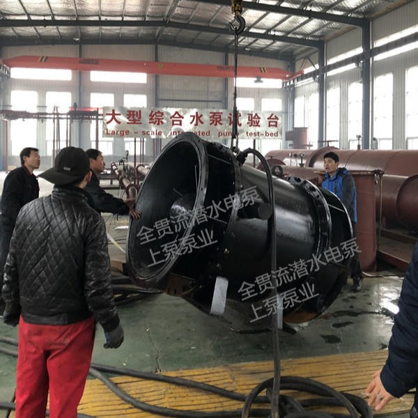 天津专业生产潜水贯流泵厂家 现货供应型号齐全 上泵现货供应QGWZ潜水贯流泵