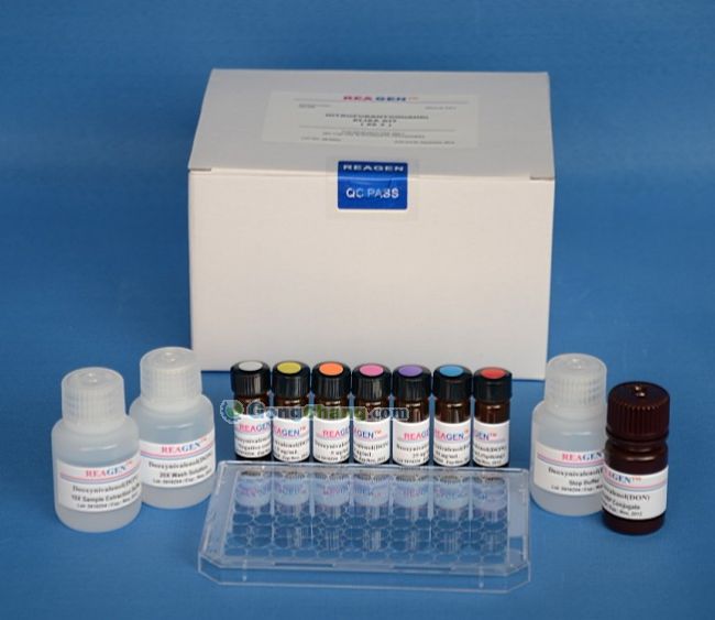 牛乙脑抗体(JE-Ab)ELISA试剂盒 分析试剂1