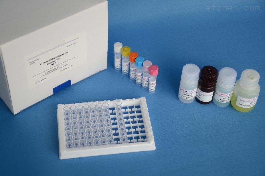 人热休克蛋白20(HSP-20)ELISA试剂盒 分析试剂1