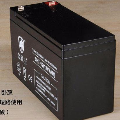 UPS 厂家现货直销 12V17AH铅酸免维护蓄电池 金武士蓄电池PH17-12 EPS应急电源专用2