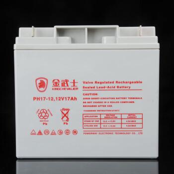 UPS 厂家现货直销 12V17AH铅酸免维护蓄电池 金武士蓄电池PH17-12 EPS应急电源专用6