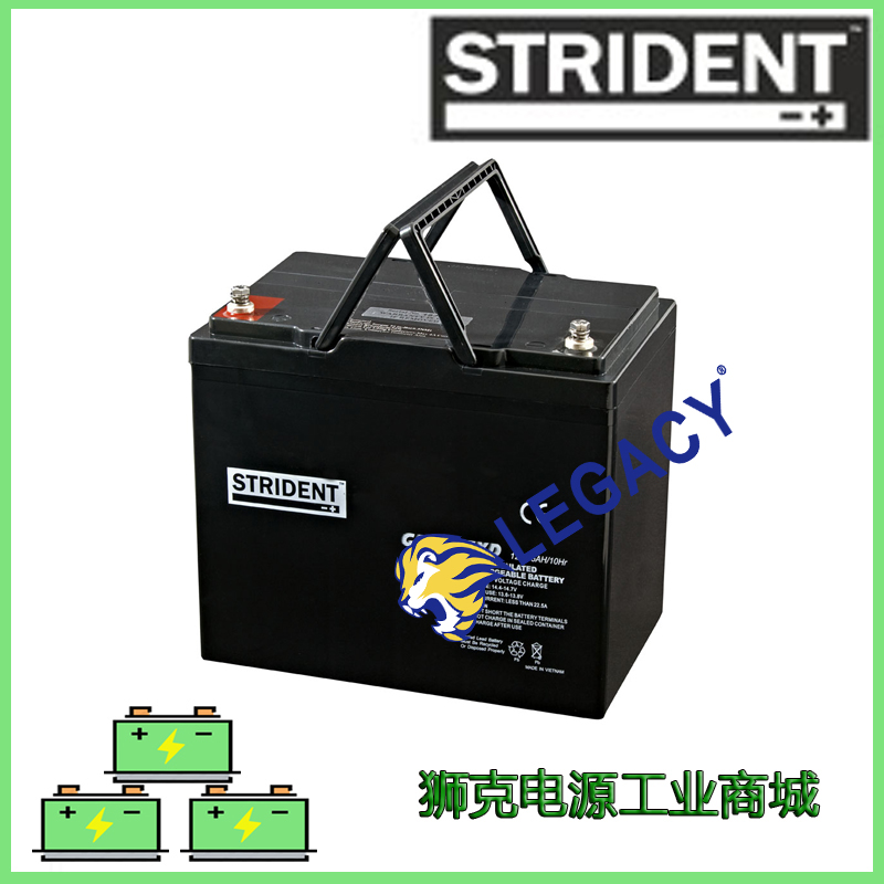 英国STRIDENT蓄电池（电瓶）GP12-20XD免维护12V20AH蓄电池4