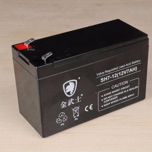 UPS 厂家现货直销 12V17AH铅酸免维护蓄电池 金武士蓄电池PH17-12 EPS应急电源专用3