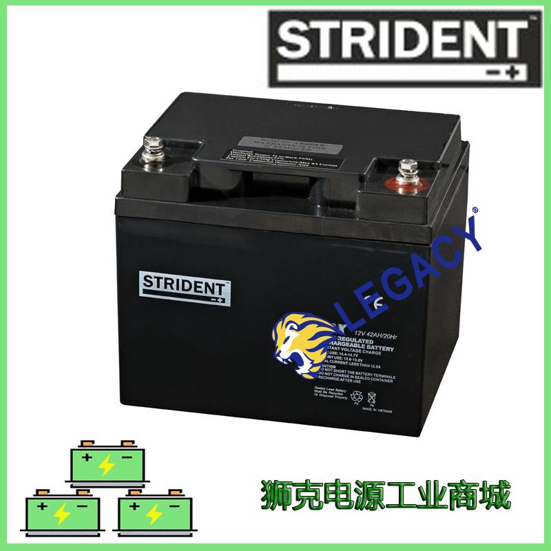 英国STRIDENT蓄电池（电瓶）GP12-20XD免维护12V20AH蓄电池1
