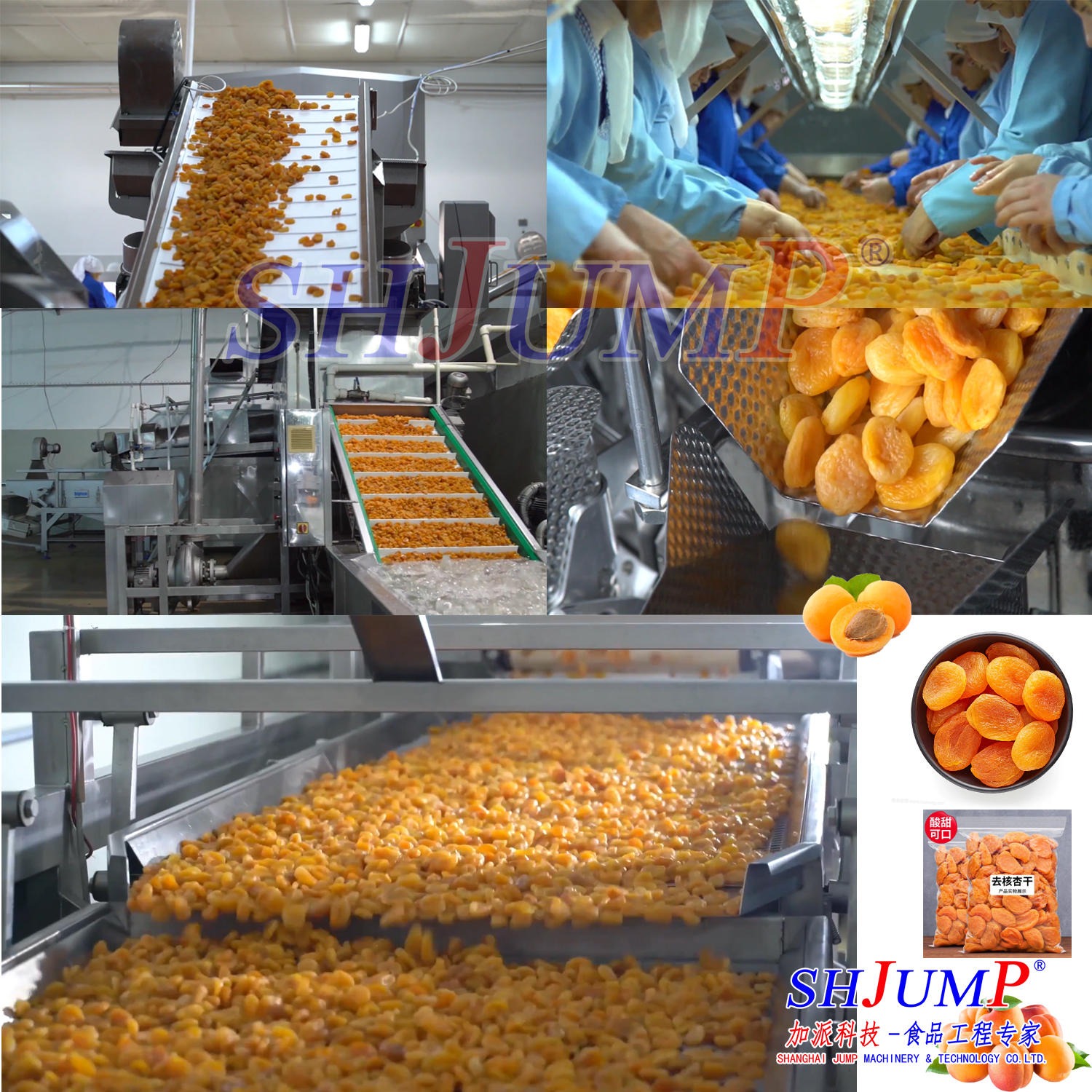 果干果脯加工设备 桃干李干杏干处理加工设备 杏干杏酱加工生产线