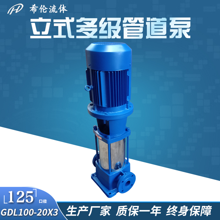 立式不锈钢管道泵 多级高扬程增压泵 上海希伦牌 酿酒厂用 125GDL100-20X31