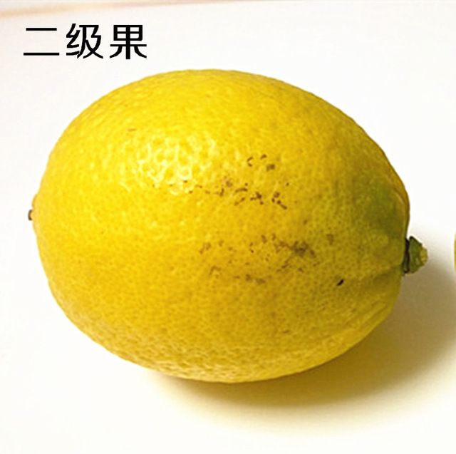 柠檬 新鲜尤利克黄柠檬 二级四川安岳柠檬 批发柠盟5斤包邮榨汁