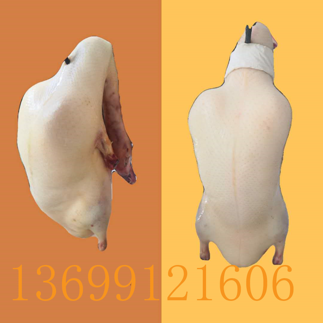 四系鸭胚 充气鸭胚9.0 出口填鸭胚 北京烤鸭坯 8.65