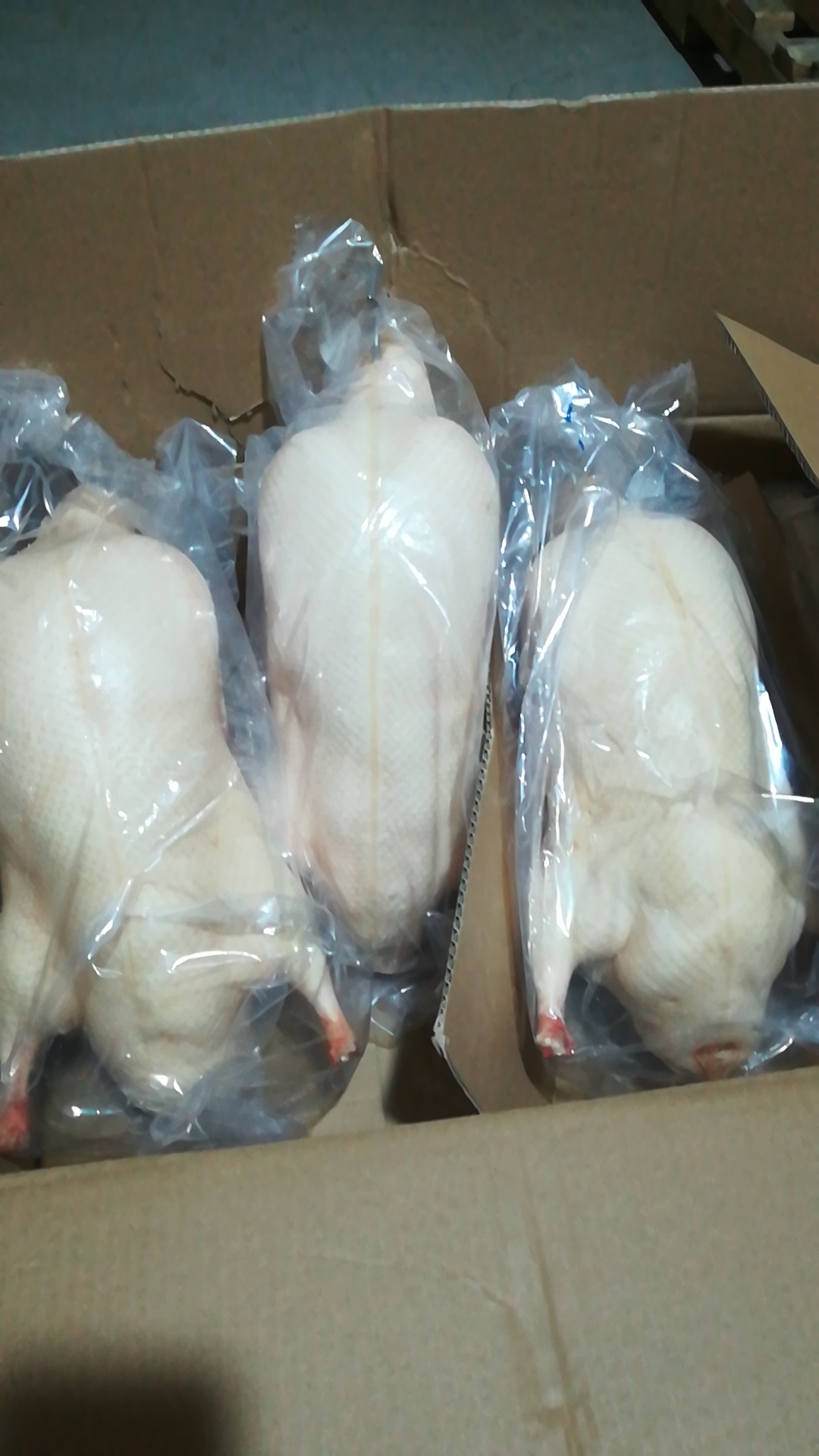鸭胚酥不腻鸭坯齐全全国配送北京烤鸭坯配送 鸭肉类1