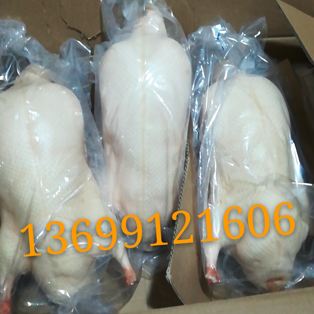 鸭胚酥不腻鸭坯齐全全国配送北京烤鸭坯配送 鸭肉类