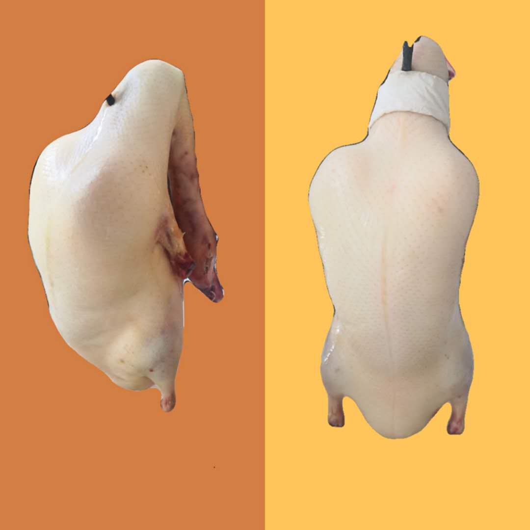厂家直销四系冷冻鸭填鸭半成品冷冻充气鸭胚色坯价格 鸭肉类