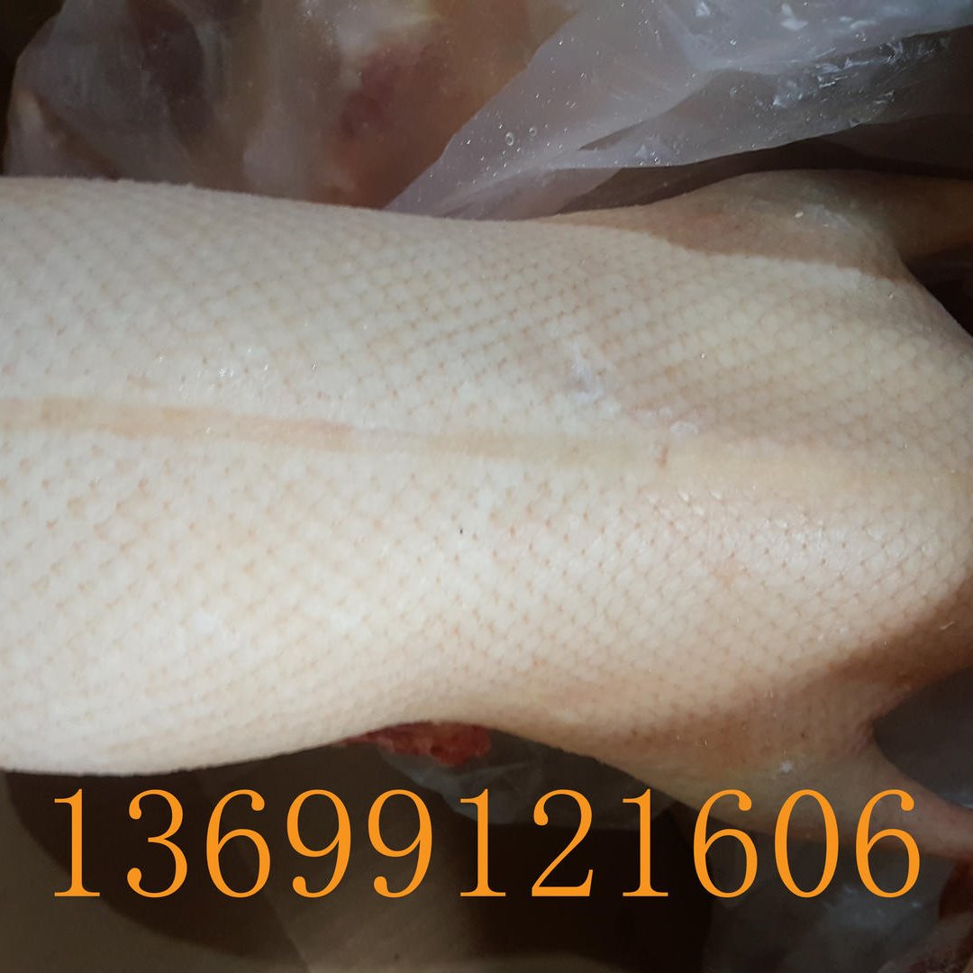 厂家直销北京烤鸭坯直供四系鸭胚4.4-4.6斤填鸭 鸭肉类