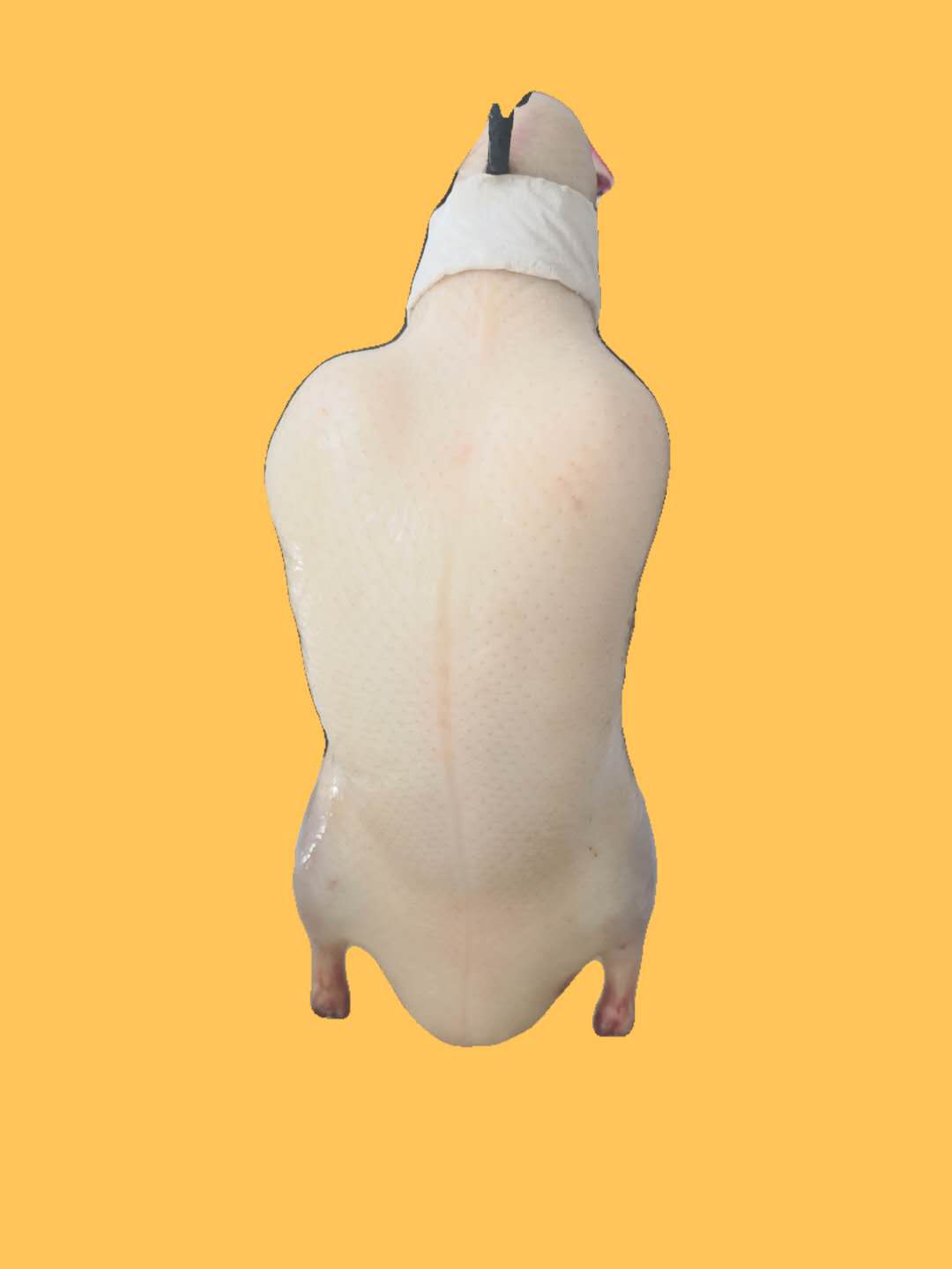 鸭肉类 北京烤鸭鸭胚填鸭半成品现货批发色坯价格