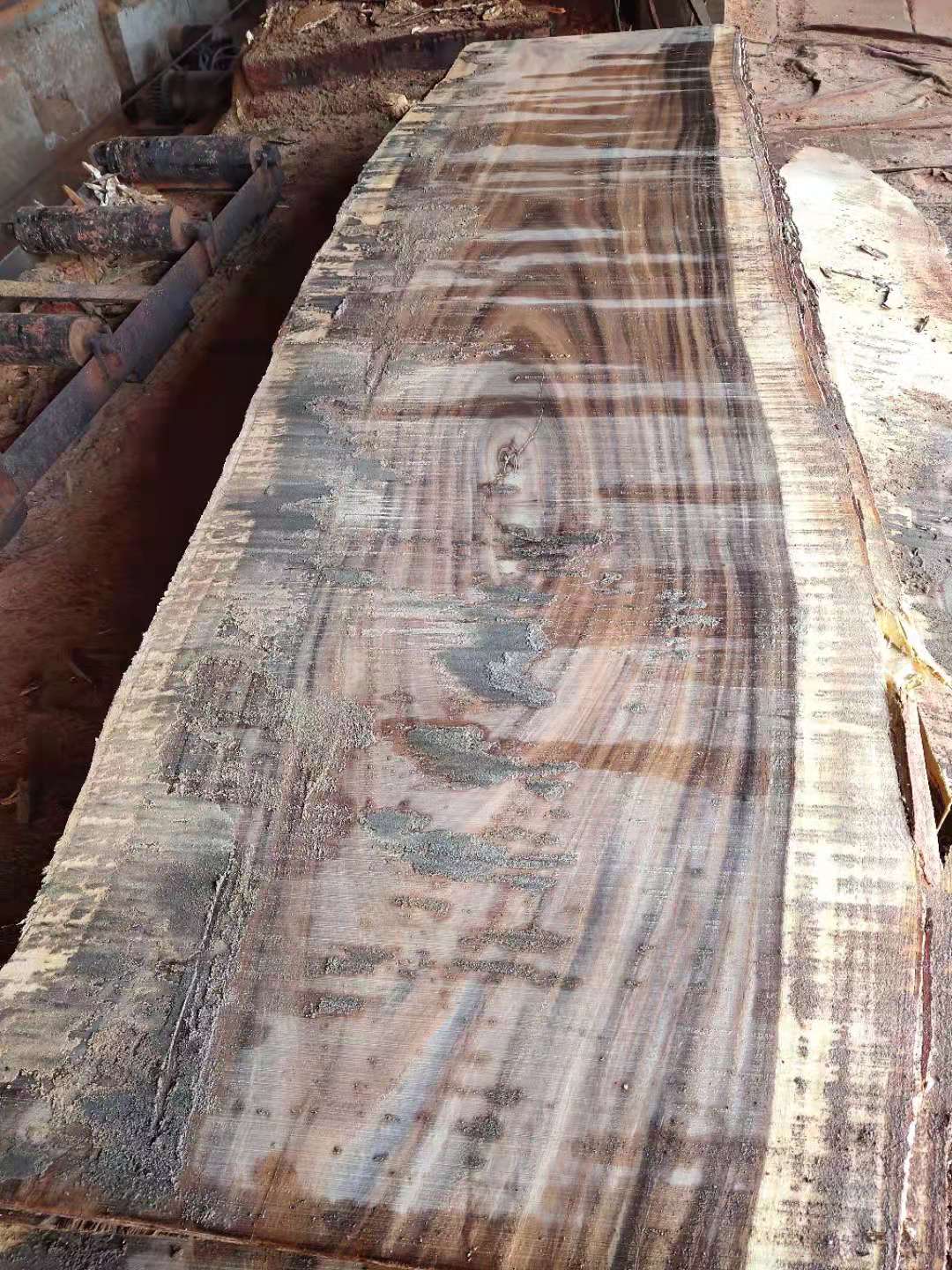板材及原木加工服务 进口木材 厂家供应琥珀木南美胡桃原木批发8