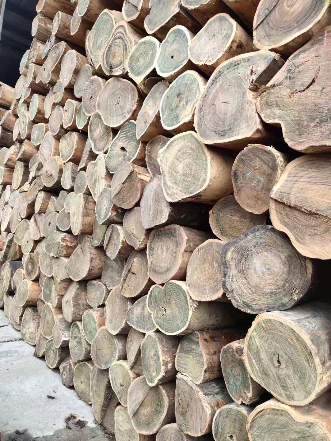 巴拉圭绿檀批发及加工服务 进口木材 厂家供应正宗阿根廷绿檀2